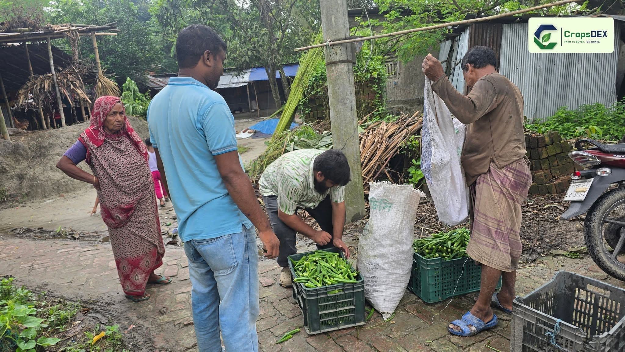 কৃষক থেকে বাজারে: নির্ভরযোগ্য কৃষি সংযোগ গড়ছে CropsDEX